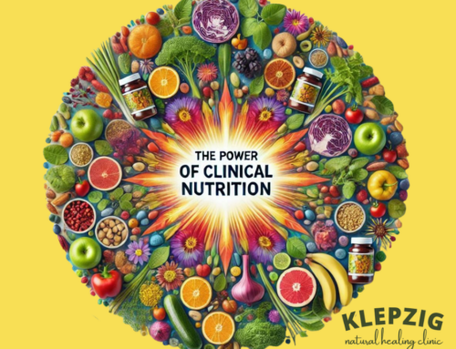 The Power of Clinical Nutrition: A Holistic Approach by Dr. Klepzig 