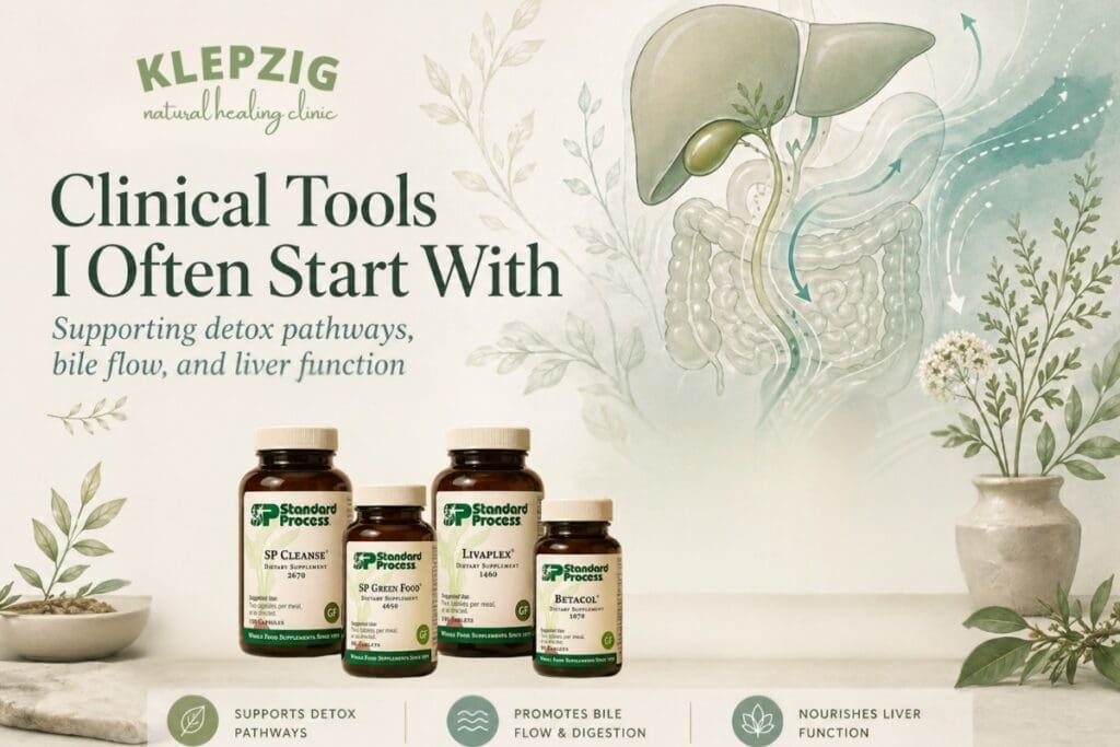Detox pathways illustration showing a human figure with the liver, gallbladder, and digestive tract highlighted in soft green botanical tones.