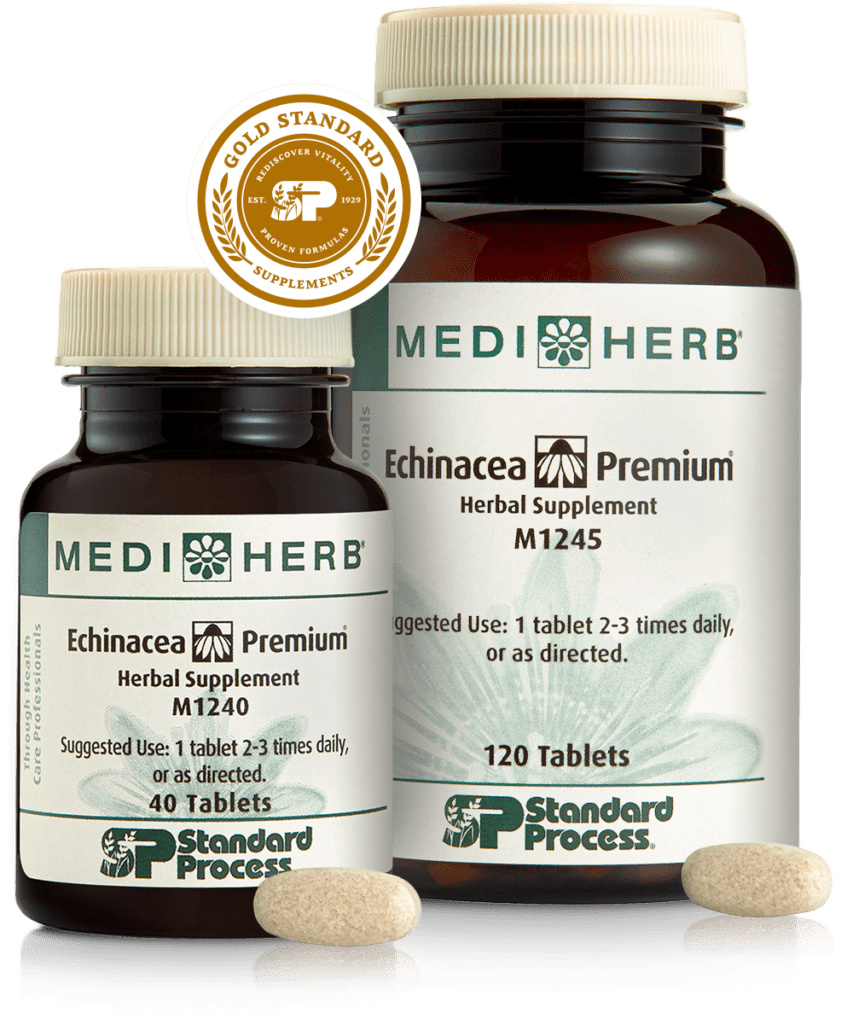 MediHerb Echinacea Premium for innate immune system support