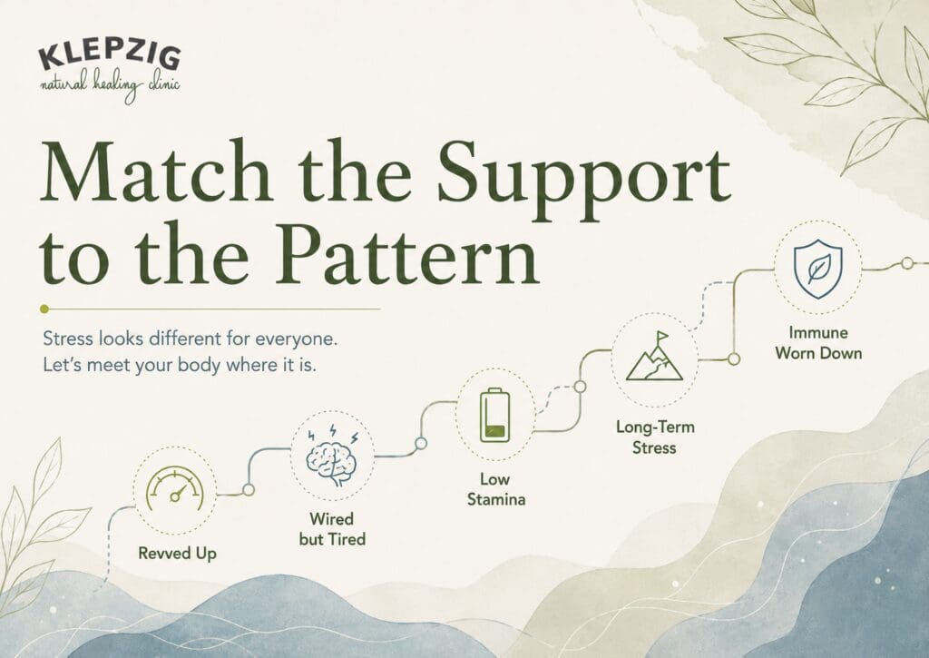 Stress pattern guide showing adaptogen support options for revved up, wired but tired, low stamina, long-term stress, and immune resilience